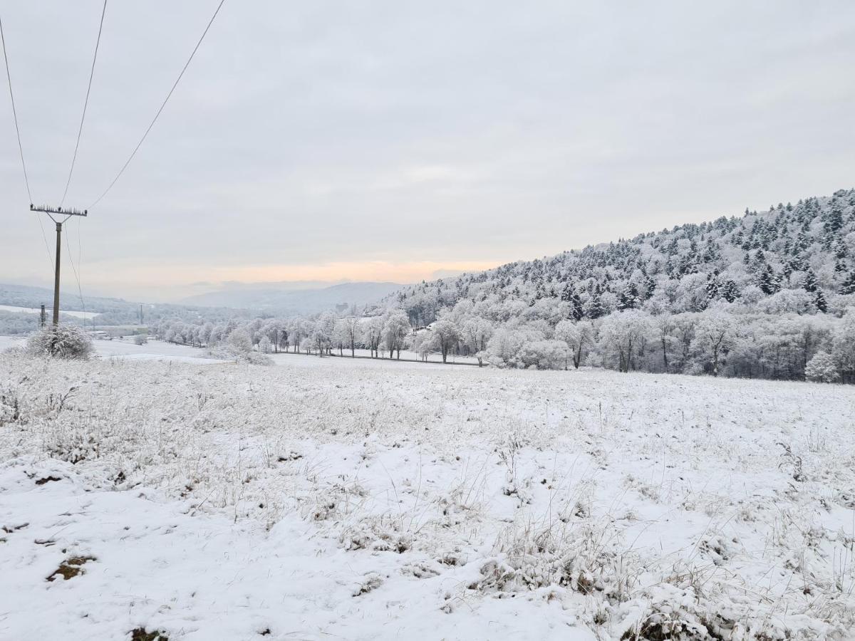 Apartmany Safran Bardejovske Kupele Bagian luar foto